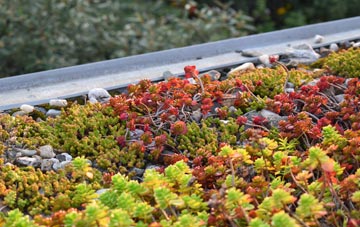 the cost of Wootton Bourne End green roof installation